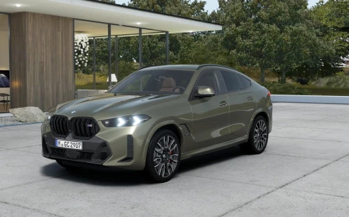 X6 - Zdjęcie 1