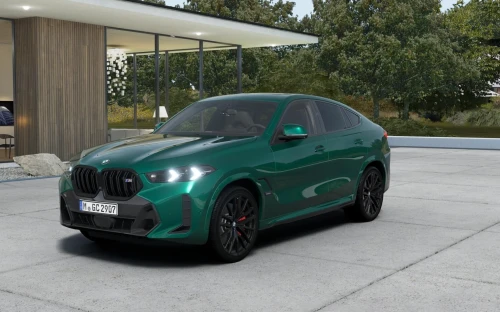 X6 - Zdjęcie 1