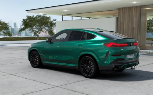 X6 - Zdjęcie 2